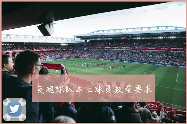 英超球队本土球员数量要求