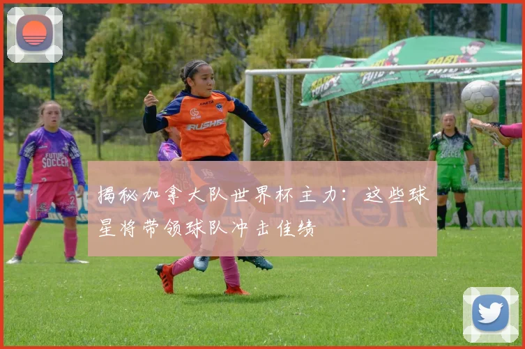 揭秘加拿大队世界杯主力:这些球星将带领球队冲击佳绩