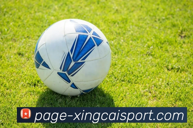 杏彩体育服务体系